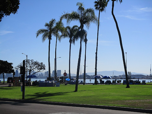 A view of Shelter Island